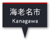 海老名市